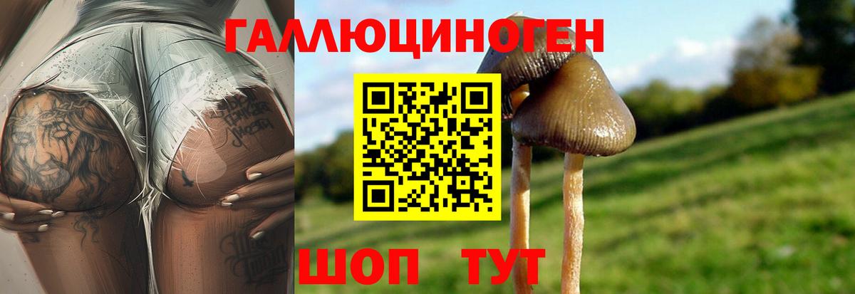 Псилоцибиновые грибы Cubensis  Галлюциногенные грибы GOLDEN TEACHER  наркота  Вход с VPN  Вольск 
