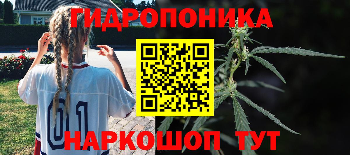 Вольск  Бошки Шишки Ganja  Вход с VPN  МАРИХУАНА OG Kush  МАРИХУАНА гибрид 